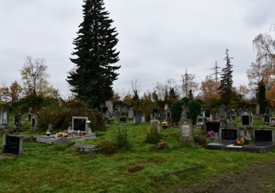 Novosedlice, Omnium, 2020