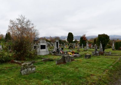 Novosedlice, Omnium, 2020