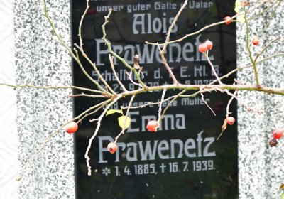 Novosedlice, Omnium, 2020