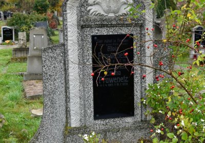 Novosedlice, Omnium, 2020