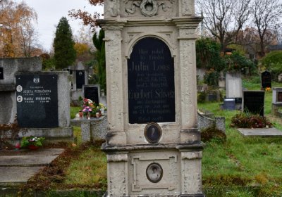 Novosedlice, Omnium, 2020