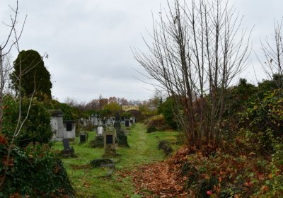 Novosedlice, Omnium, 2020