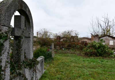 Novosedlice, Omnium, 2020