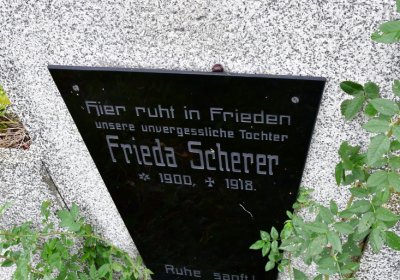 Novosedlice, Omnium, 2020