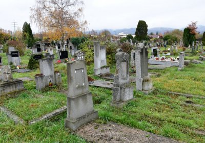 Novosedlice, Omnium, 2020