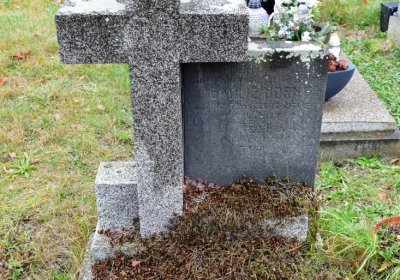 Novosedlice, Omnium, 2020