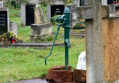 Novosedlice, Omnium, 2020