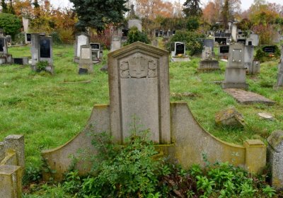 Novosedlice, Omnium, 2020