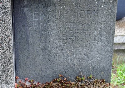 Novosedlice, Omnium, 2020