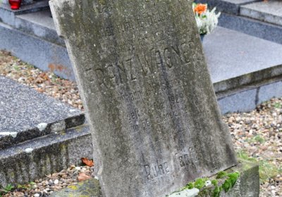 Novosedlice, Omnium, 2020