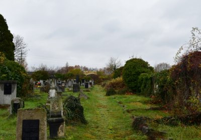 Novosedlice, Omnium, 2020