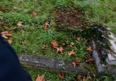 Novosedlice, Omnium, 2020