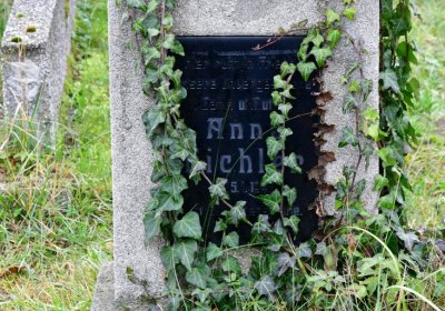 Novosedlice, Omnium, 2020