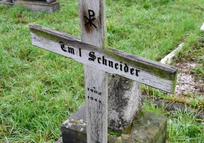 Novosedlice, Omnium, 2020