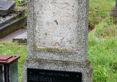 Novosedlice, Omnium, 2020