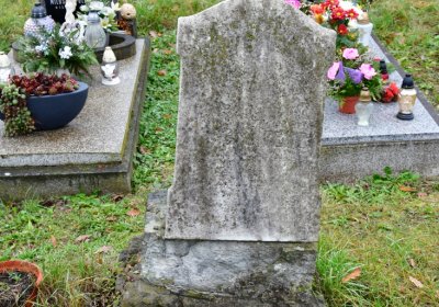 Novosedlice, Omnium, 2020