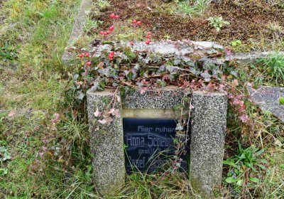 Novosedlice, Omnium, 2020