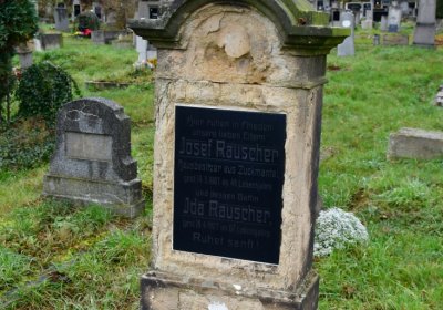 Novosedlice, Omnium, 2020