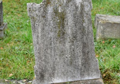 Novosedlice, Omnium, 2020