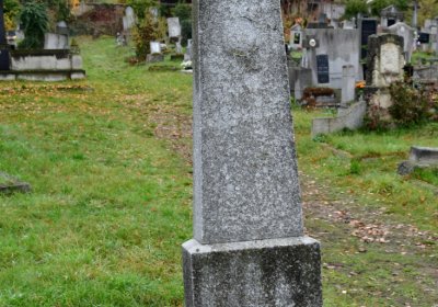 Novosedlice, Omnium, 2020