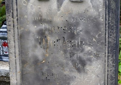 Novosedlice, Omnium, 2020