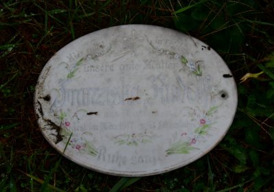 Novosedlice, Omnium, 2020