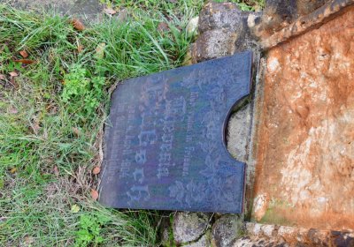 Novosedlice, Omnium, 2020