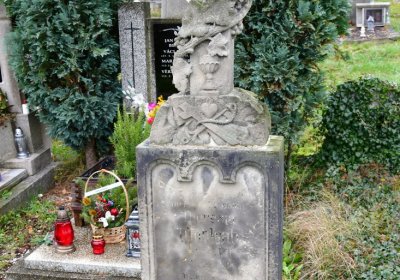 Novosedlice, Omnium, 2020