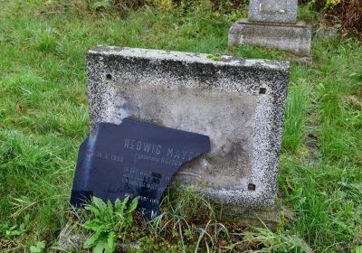 Novosedlice, Omnium, 2020