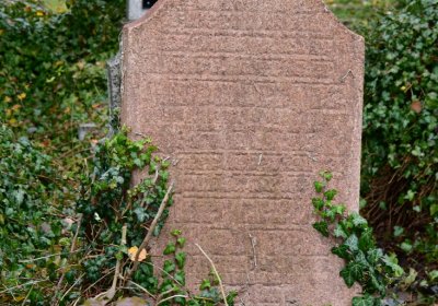 Novosedlice, Omnium, 2020