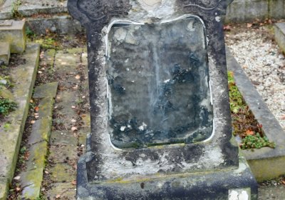 Novosedlice, Omnium, 2020