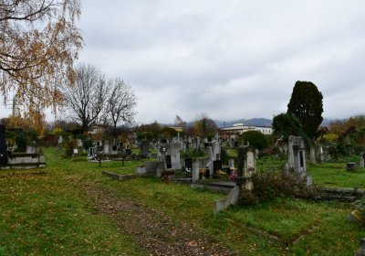 Novosedlice, Omnium, 2020