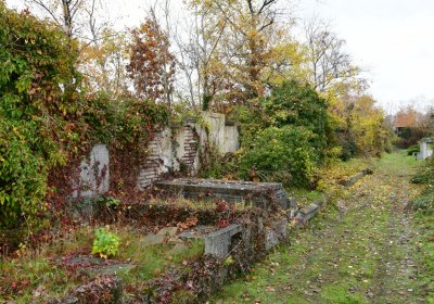 Novosedlice, Omnium, 2020