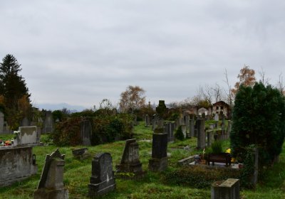 Novosedlice, Omnium, 2020