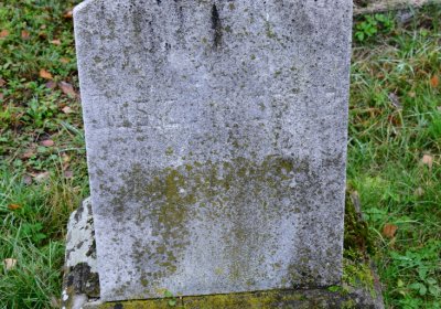 Novosedlice, Omnium, 2020