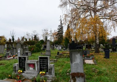 Novosedlice, Omnium, 2020