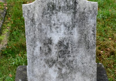 Novosedlice, Omnium, 2020