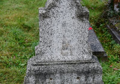 Novosedlice, Omnium, 2020