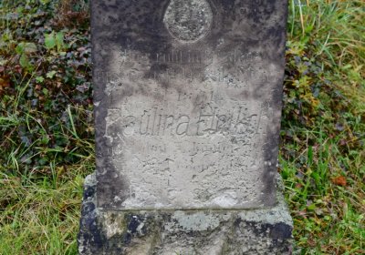 Novosedlice, Omnium, 2020