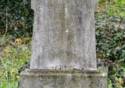 Novosedlice, Omnium, 2020