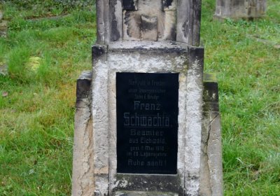 Novosedlice, Omnium, 2020