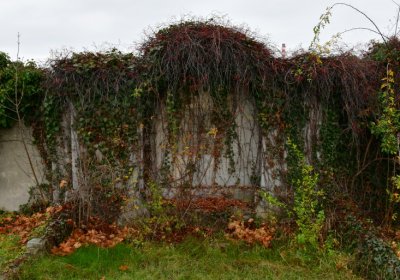 Novosedlice, Omnium, 2020