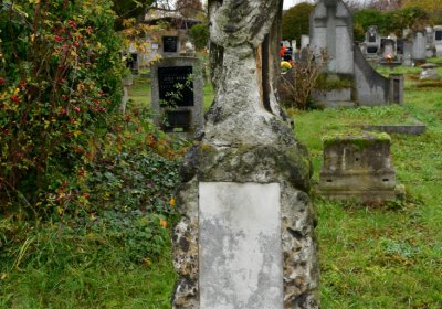 Novosedlice, Omnium, 2020