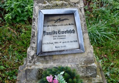 Novosedlice, Omnium, 2020