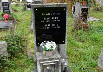 Novosedlice, Omnium, 2020