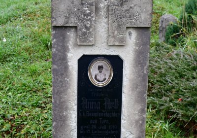 Novosedlice, Omnium, 2020