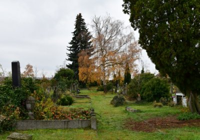 Novosedlice, Omnium, 2020