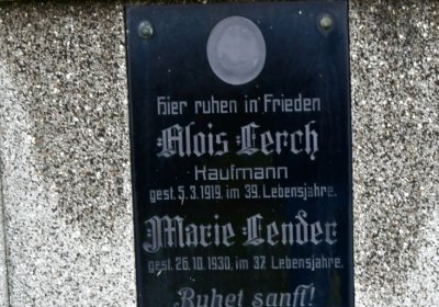 Novosedlice, Omnium, 2020