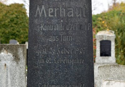 Novosedlice, Omnium, 2020