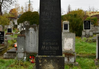 Novosedlice, Omnium, 2020